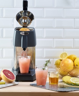 Presse-agrumes à levier - cuve et socle gris n°10