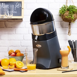 Presse-agrumes (Gros débit) - Socle gris n°52G